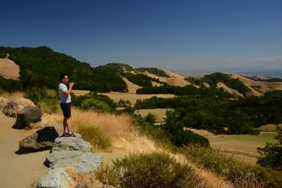 DSC_2494 (Large).JPG